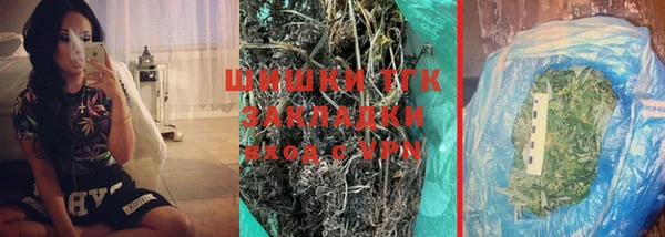 прущие крисы Абаза